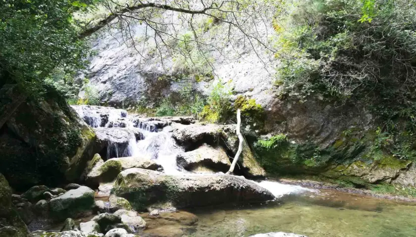 Cascada en el desfiladero del río Purón, rodeada de rocas cubiertas de musgo y vegetación frondosa.