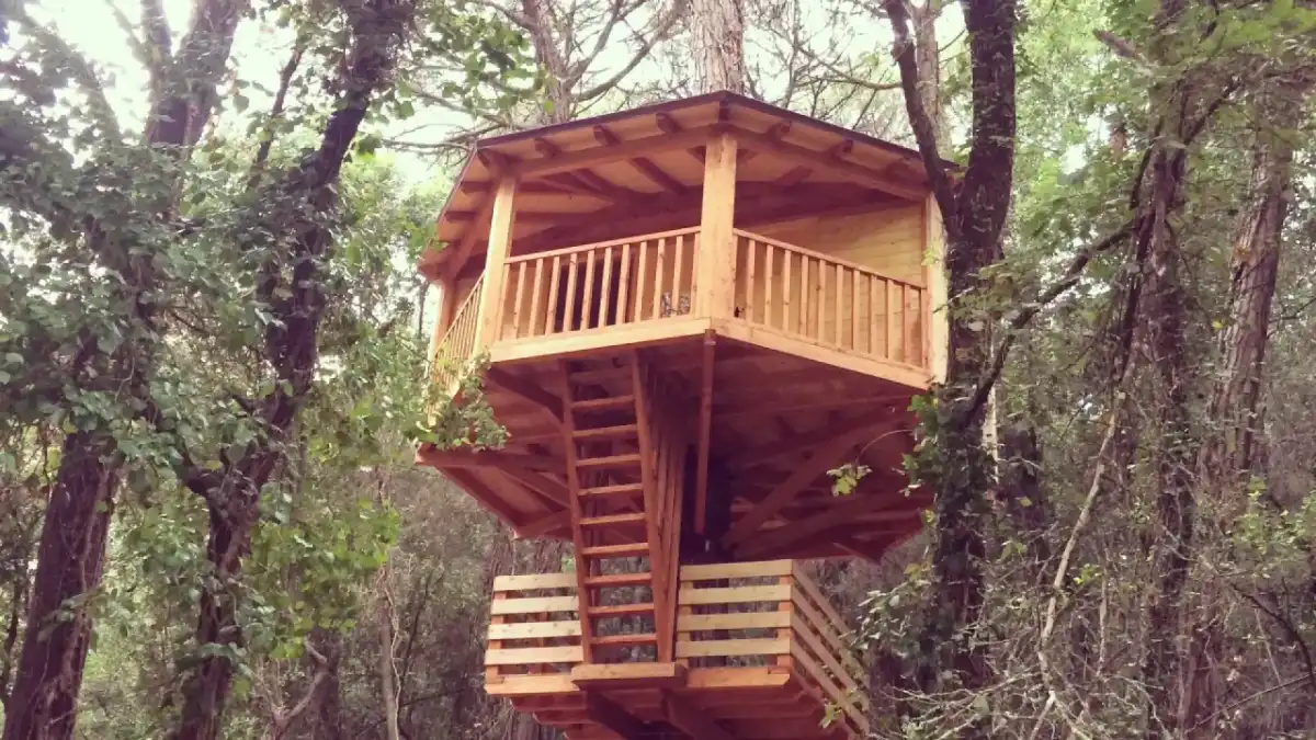 Casas del árbol en España - precios y claves para elegir bien