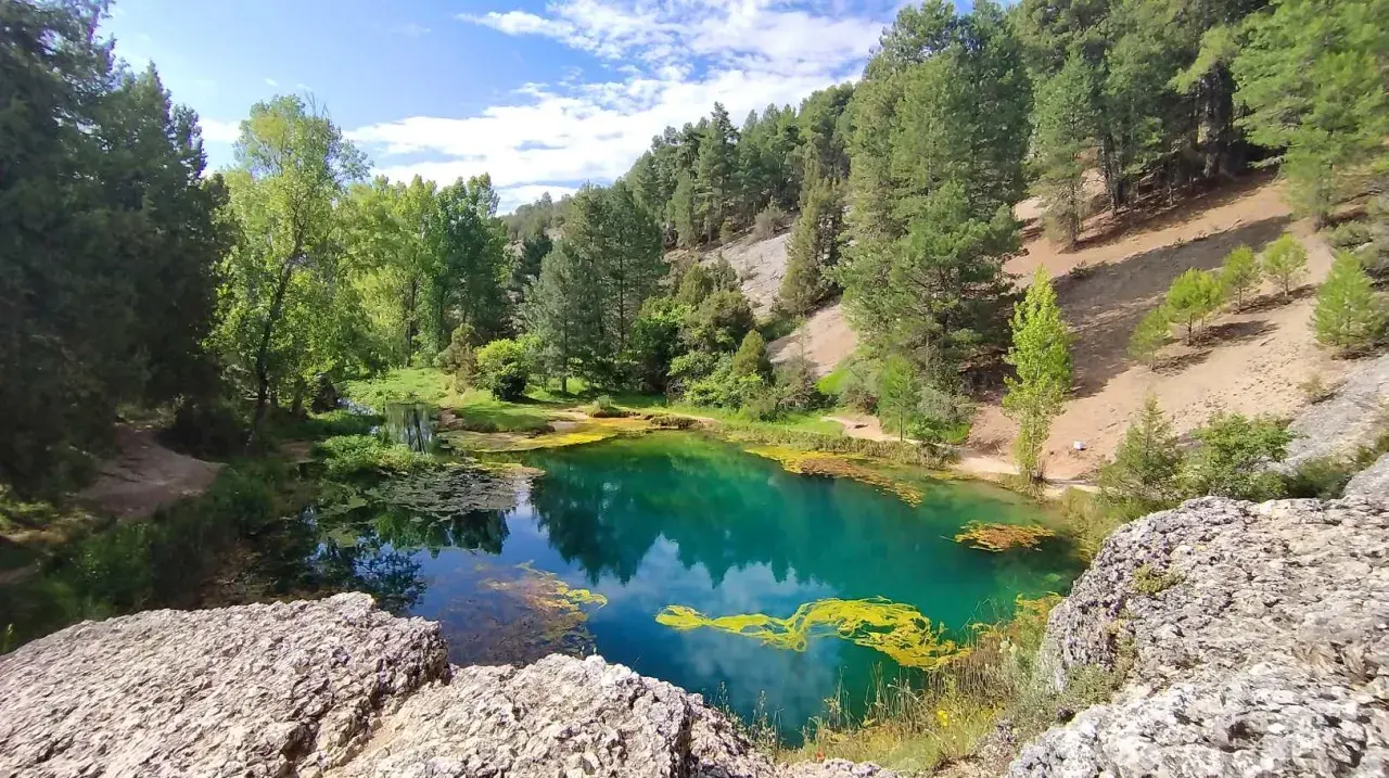 La fuentona de Muriel, un oasis de aguas turquesas rodeado de pinos y vegetación exuberante, bajo un cielo azul con nubes algodonosas.
