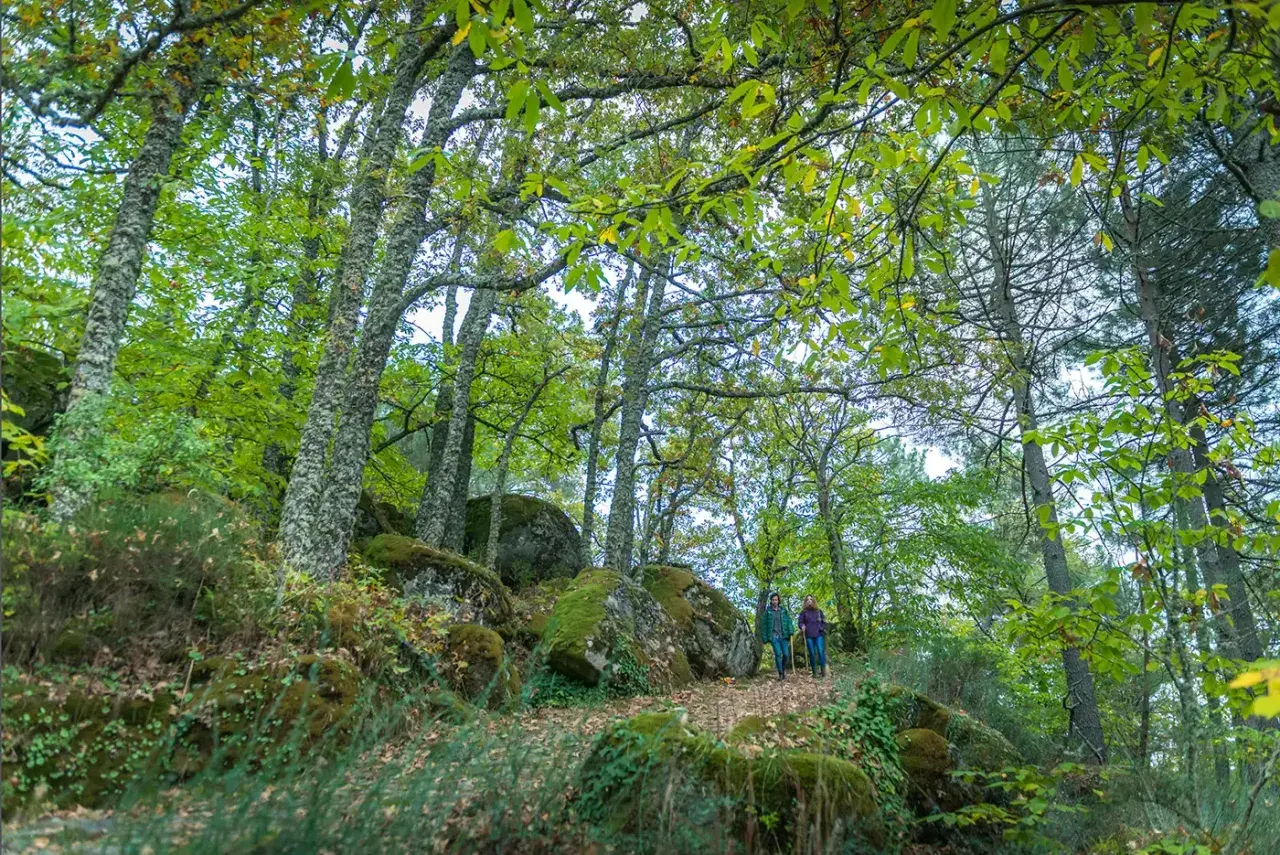 Dos personas caminan por un sendero en el bosque de los espejos, rodeados de árboles frondosos y rocas cubiertas de musgo.