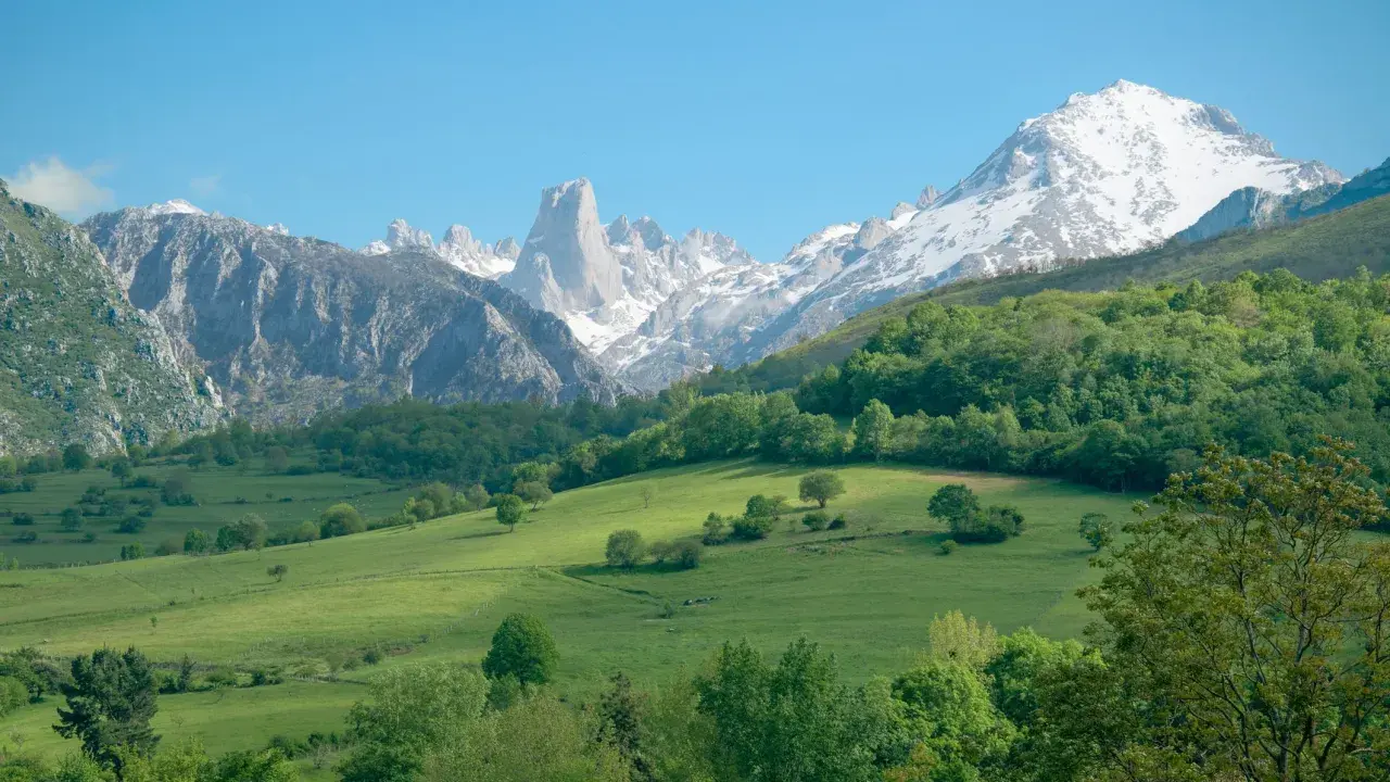 Majestuosas montañas nevadas se alzan tras verdes prados y bosques frondosos, un paisaje idílico de las reservas naturales España.