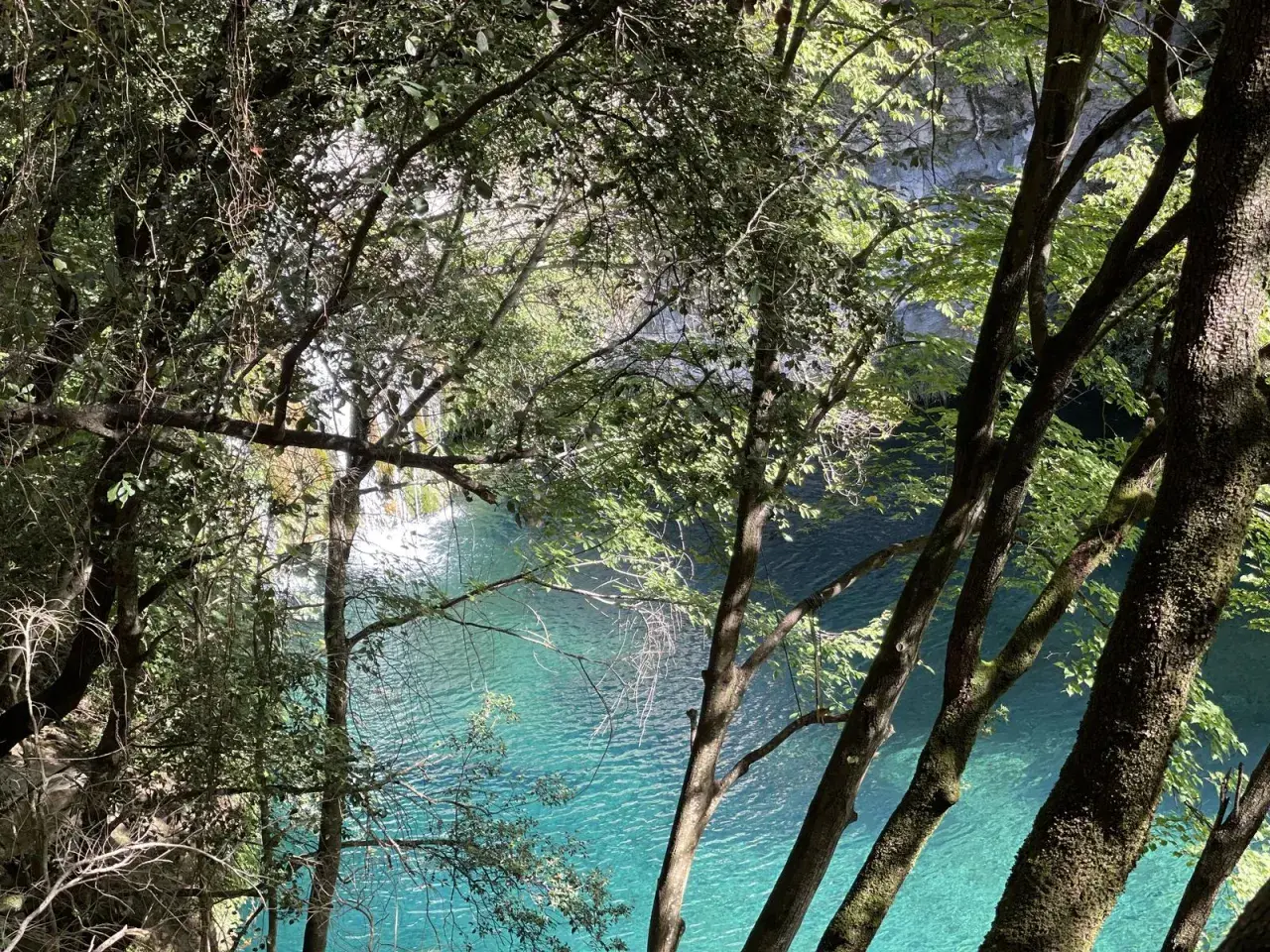 El gorg blau de Girona, un remanso de paz entre árboles frondosos y aguas cristalinas.