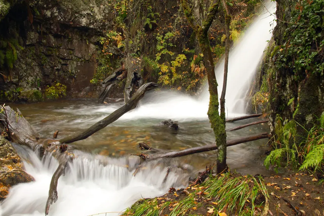 Las cascadas de Anna, un rincón natural con agua que fluye entre rocas y troncos caídos, rodeado de vegetación otoñal.