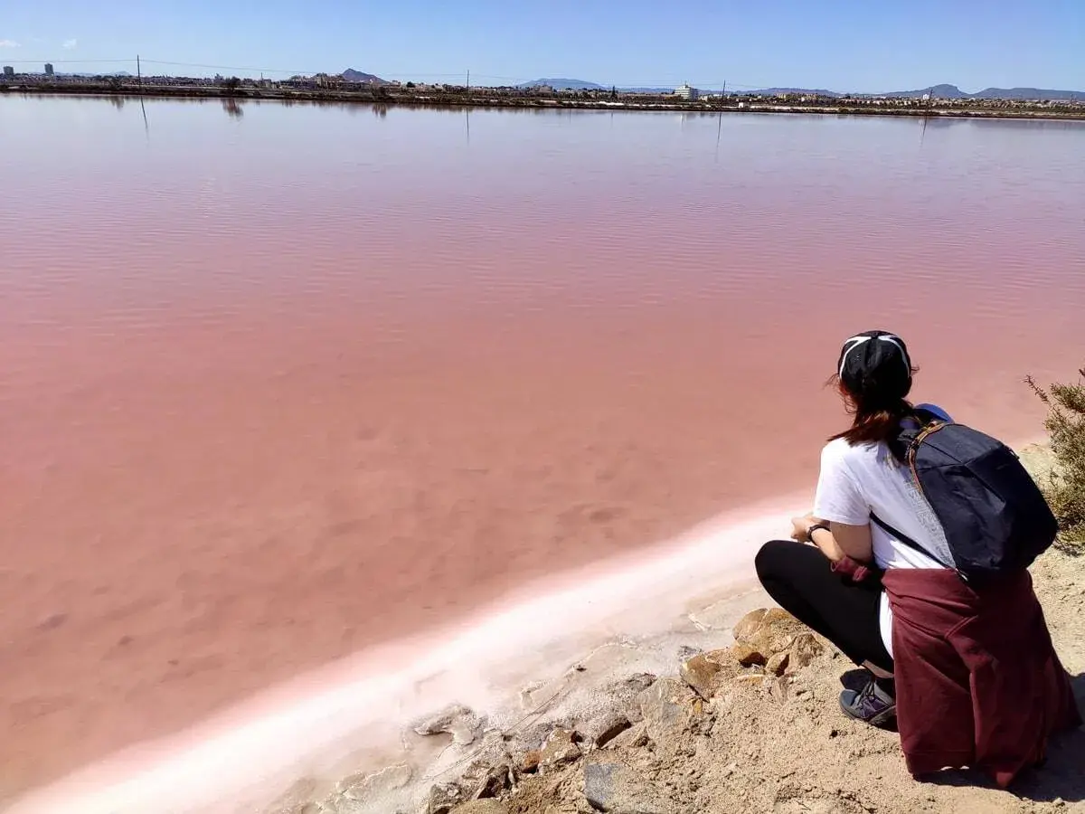 Persona observa el agua rosada de las salinas de San Pedro, un paisaje único.
