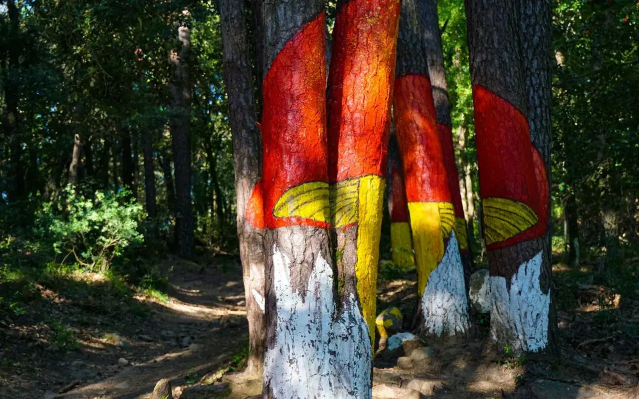 Senderos del bosque pintado de Poblet, con troncos de árboles decorados con vivos colores rojo, amarillo y blanco, creando un paisaje surrealista.