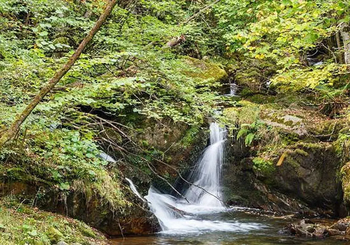 Cascada en la ruta del alba, rodeada de vegetación frondosa y rocas cubiertas de musgo. El agua cae en cascada, creando un ambiente sereno.