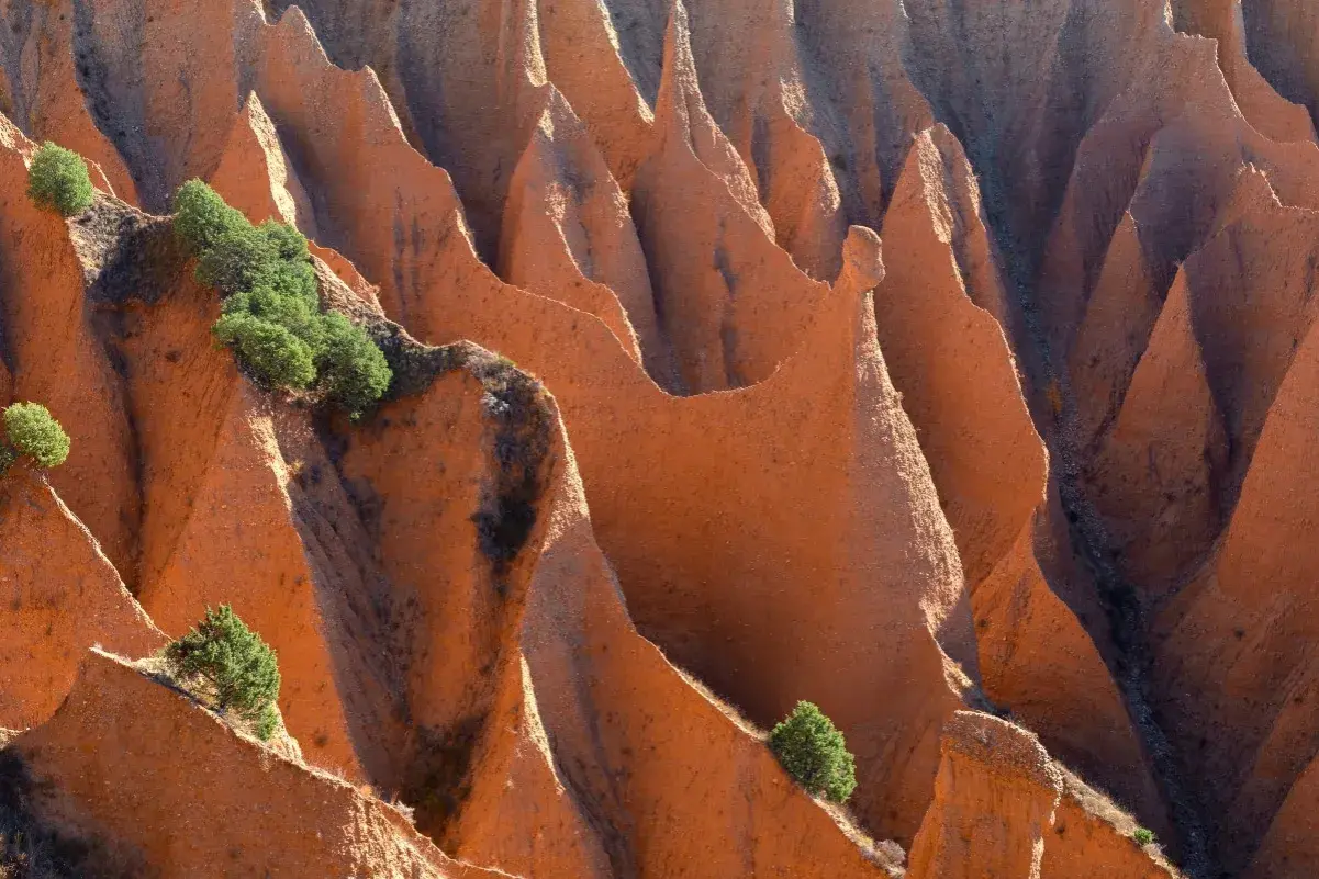 Las **carcavas Pontón de la Oliva** forman un paisaje erosionado de tonos rojizos, con picos y valles esculpidos por el tiempo, salpicado por vegetación verde.