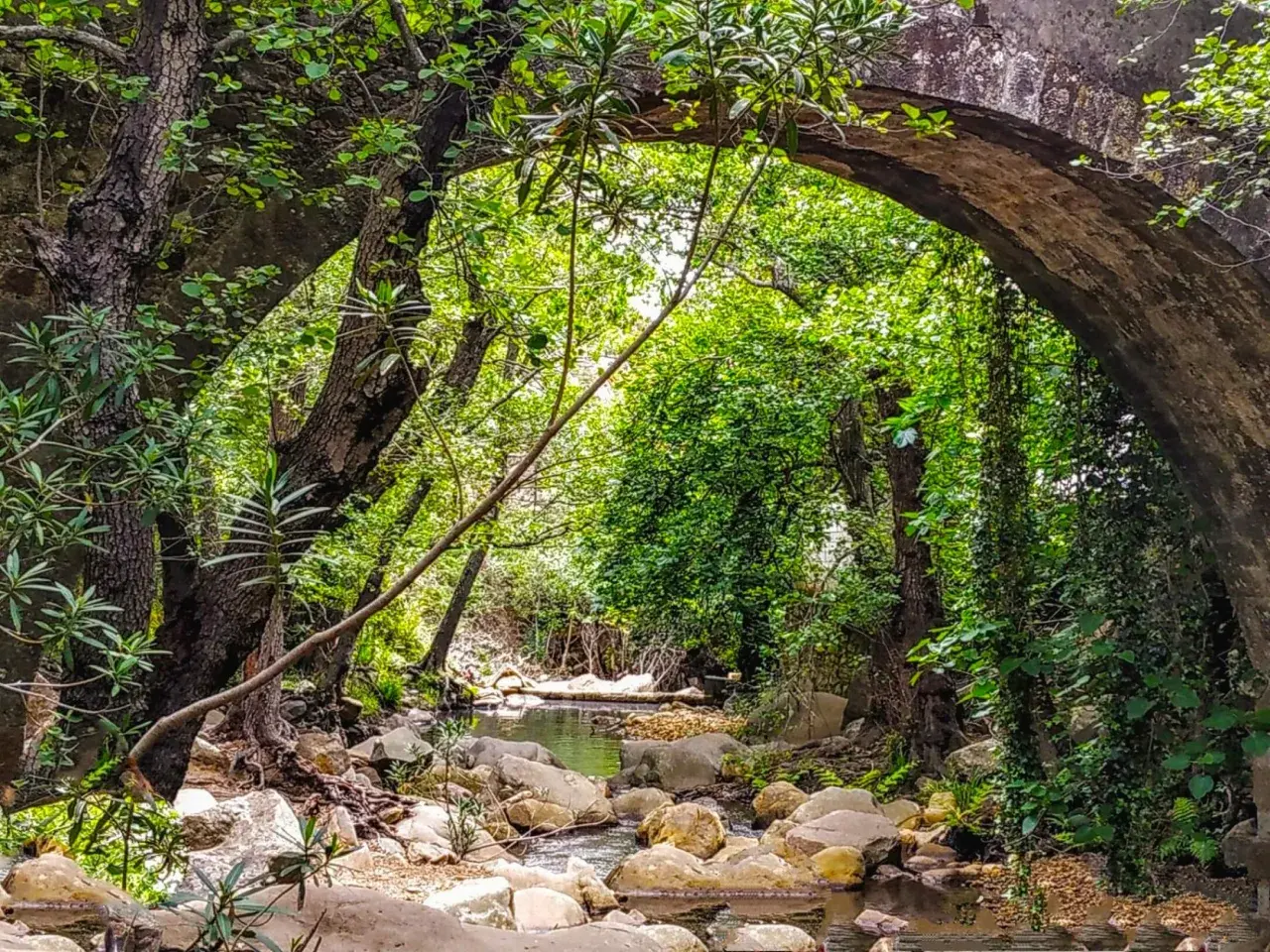 Arco de piedra cubierto de vegetación, con un arroyo rocoso que fluye debajo. Un lugar idílico para explorar la ruta de la miel.