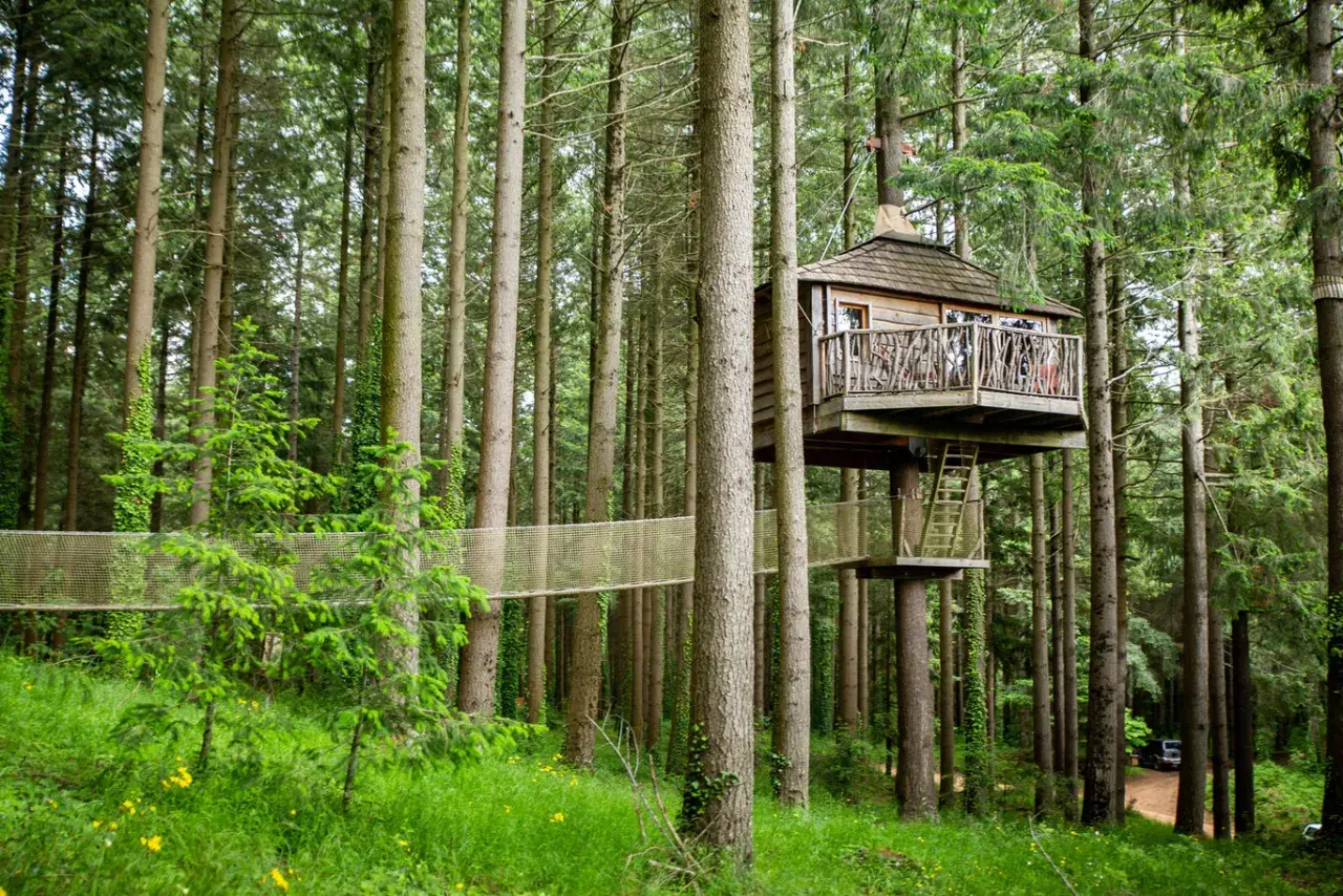 Casas en los árboles conectadas por puentes colgantes en un bosque frondoso.