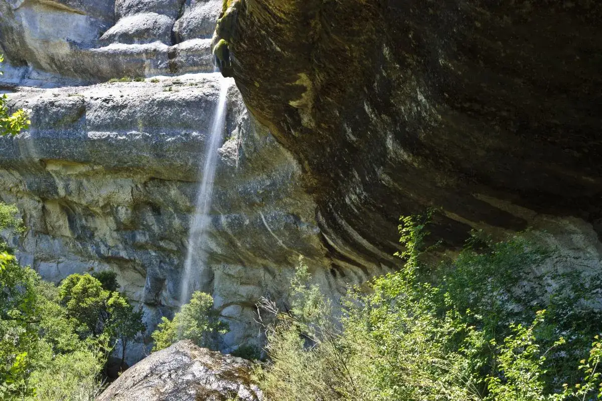 Una fina cascada de la mea cae por una pared rocosa, rodeada de vegetación exuberante y rocas cubiertas de musgo.