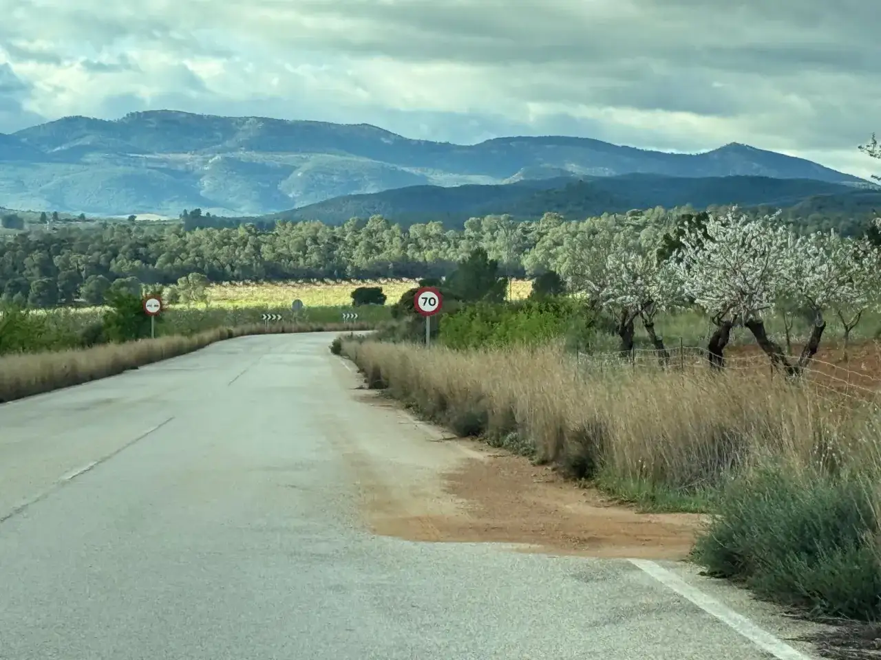 Carretera rural con árboles en flor y montañas al fondo. Señal de 70. Para saber letur como llegar, sigue esta ruta.