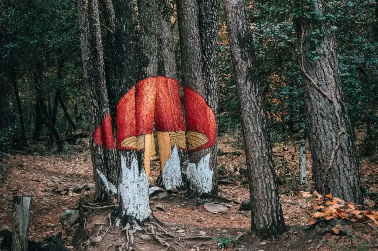 Un hongo gigante pintado en los troncos de &aacute;rboles en el bosque pintado de Poblet. Las ra&iacute;ces expuestas y las hojas secas cubren el suelo.