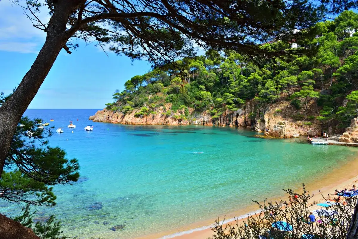 Hermosa cala con aguas turquesas, pinos y rocas. Un lugar idílico entre las playas cerca de Barcelona.