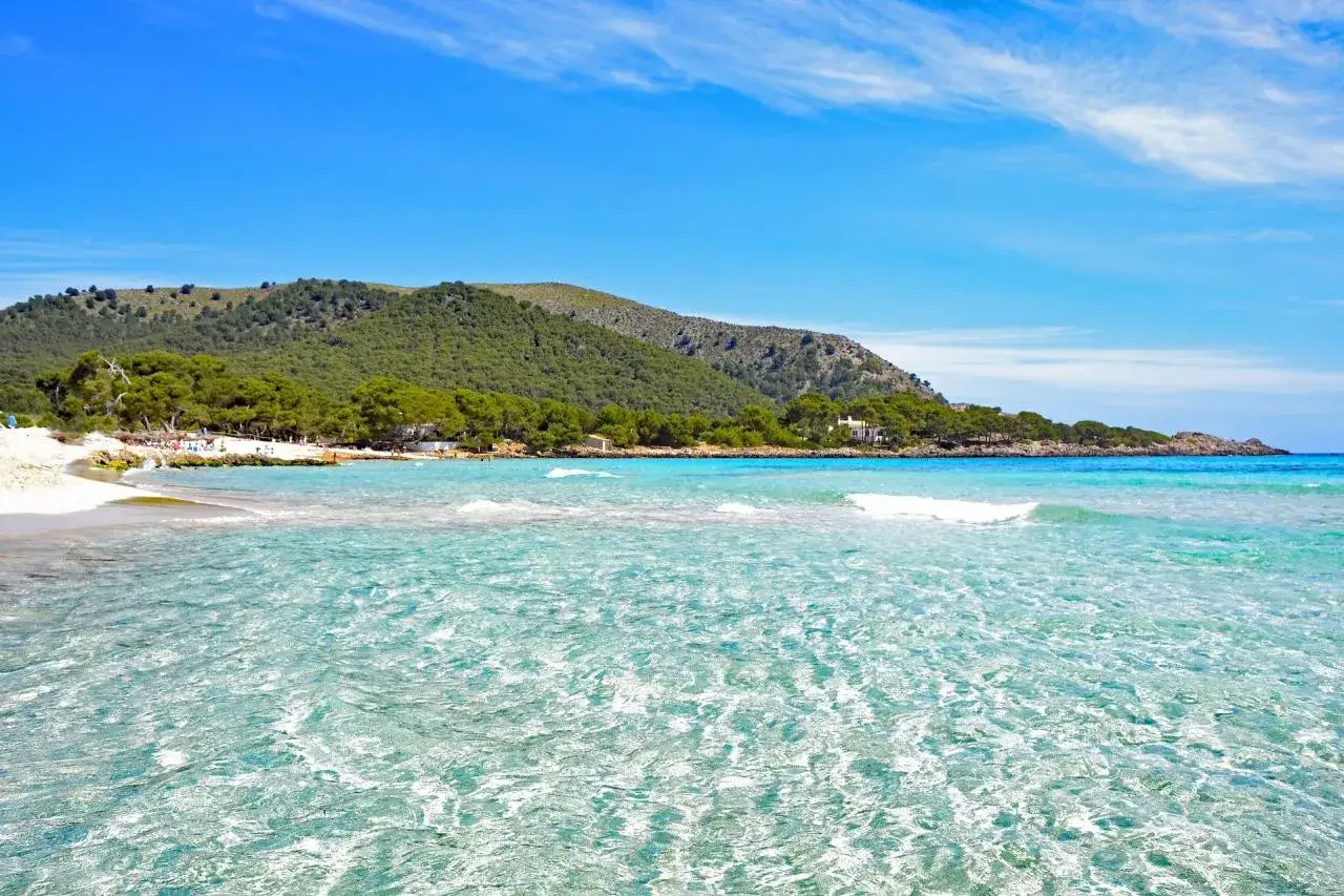 Aguas cristalinas y arena blanca en una de las mejores playas de Mallorca, con colinas verdes al fondo.