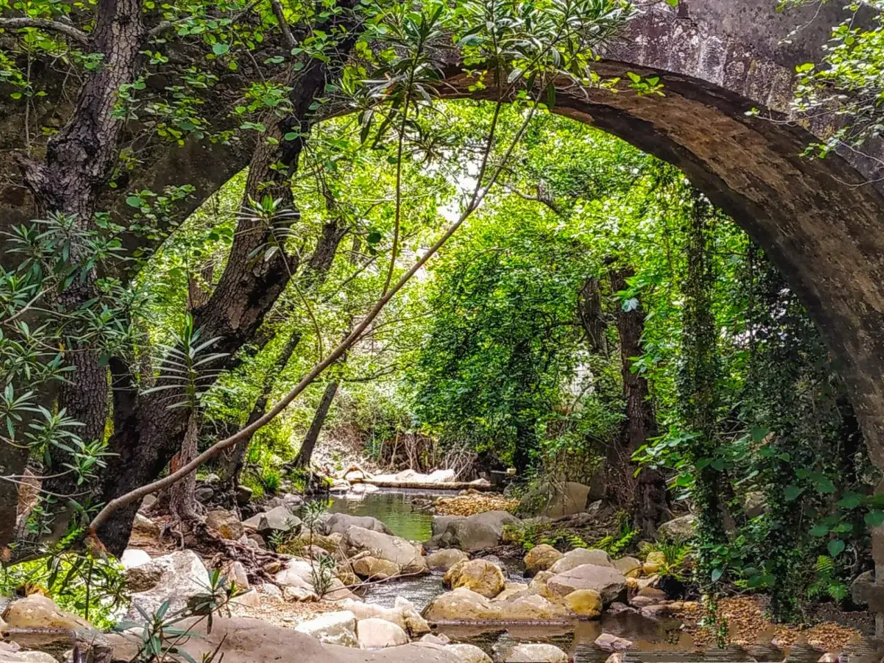 Un puente de piedra arqueado enmarca un arroyo sereno en la ruta r&iacute;o de la miel, rodeado de exuberante vegetaci&oacute;n y rocas.