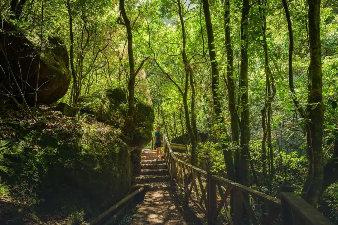Sendero de piedra y madera en un bosque frondoso. Una persona sube escalones, rodeada de vegetaci&oacute;n exuberante. El cubo de la galga parece estar cerca, oculto entre las rocas cubiertas de musgo.
