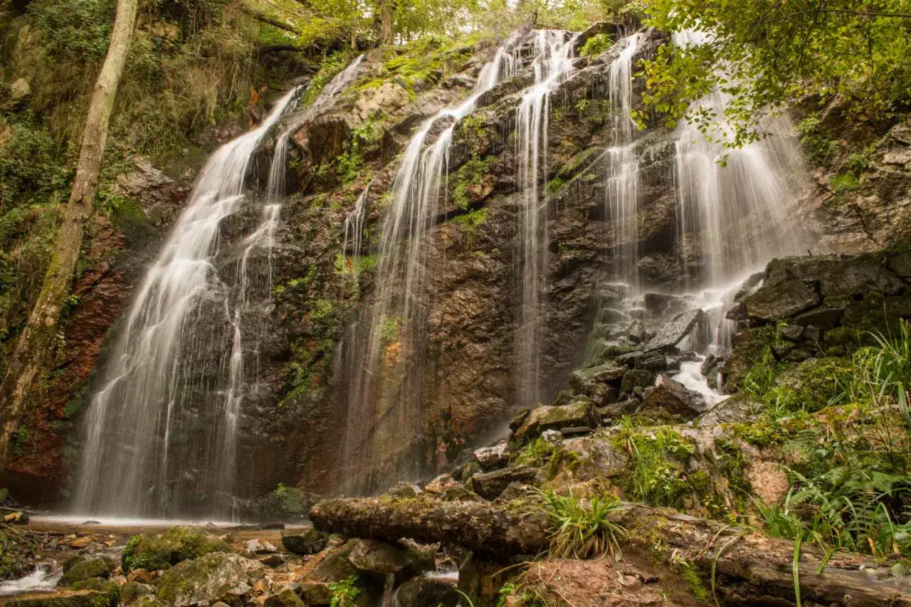 La cascada de Guanga desciende por rocas cubiertas de musgo, rodeada de vegetaci&oacute;n exuberante y &aacute;rboles. El agua cae en finos velos, creando un paisaje sereno y natural.