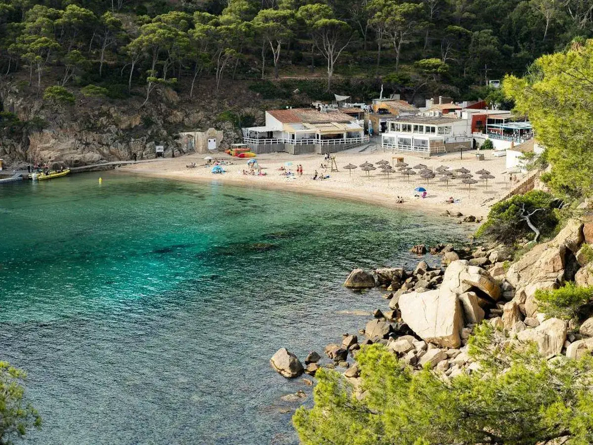 Bahía con aguas turquesas y arena dorada, rodeada de pinos. Un paraíso entre las mejores playas de Cataluña.