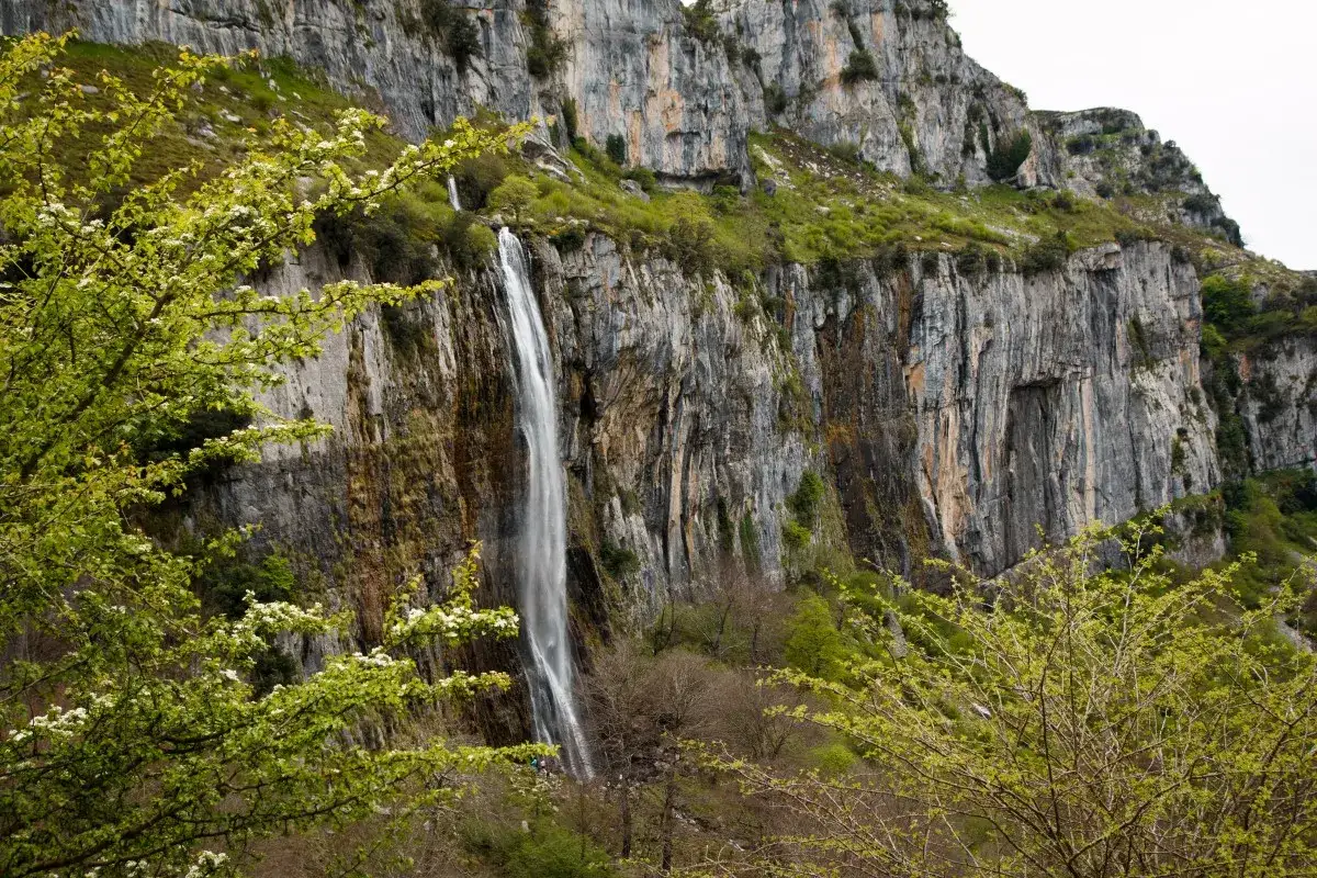 La cascada del Ason cae majestuosamente por un acantilado rocoso, rodeada de vegetaci&oacute;n verde y &aacute;rboles en flor.