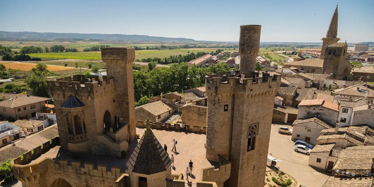 Vista a&eacute;rea del castillo de Olite, con sus torres de piedra y tejados de teja, rodeado de campos verdes y un cielo azul.