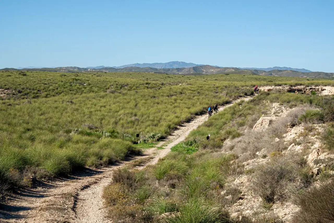 Ruta en bicicleta por el campo, con montañas al fondo. Para llegar a Lucainena de las Torres, sigue este camino.