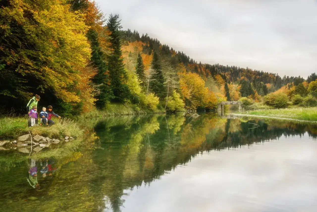 Familia explora las rutas selva de Irati en oto&ntilde;o. &Aacute;rboles dorados y verdes bordean un r&iacute;o sereno, reflejando el paisaje.