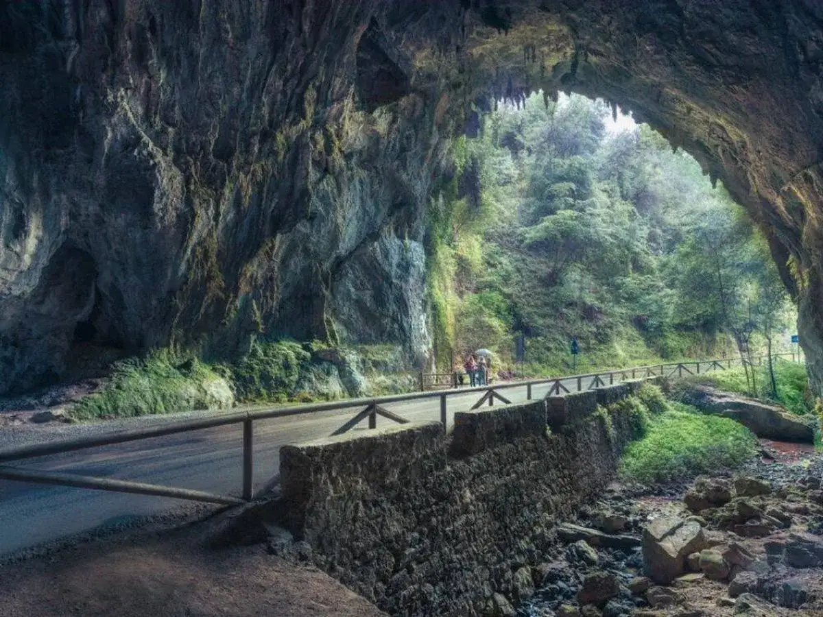 Un camino atraviesa las cuevas del agua, con vegetación exuberante y rocas imponentes.