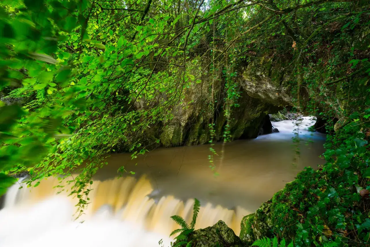 Un río caudaloso fluye a través de una gruta del diablo rodeada de exuberante vegetación y rocas cubiertas de musgo.